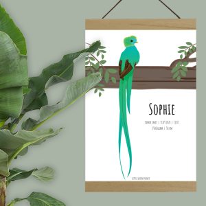 Geboorteposter jungle quetzal