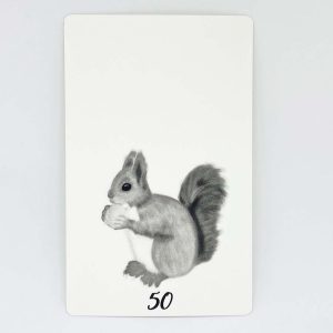 Maataanduiders baby, Bosdieren (potlood grijs), maat 50 tm 92 (0-2 jaar)