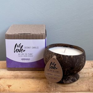We Love Coconut candle, Charming Chestnut