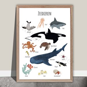 Zeedieren poster – A2 formaat – Printable